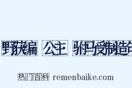 野获编·公主·驸马受制造句是什么意思的图片